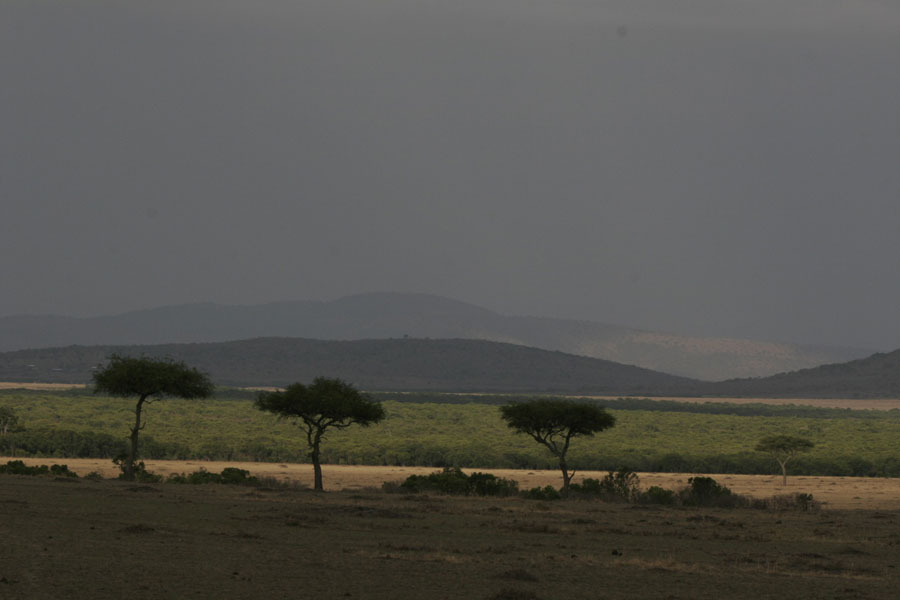 African Views 002