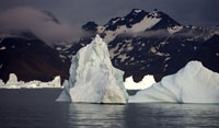 Icebergs in early light, Cumberland Bay, South Georgia 2004