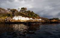 Evans Island, late afternoon sun, Chilean Fjords 2005