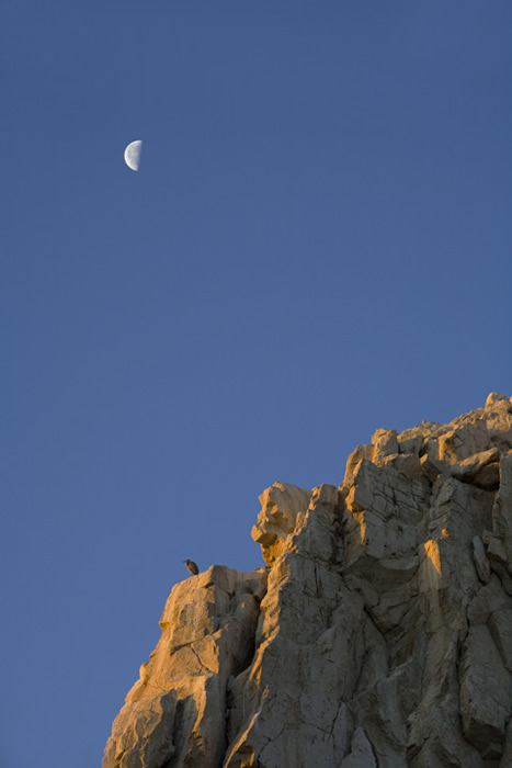 Sunrise, Cabo San Lucas
