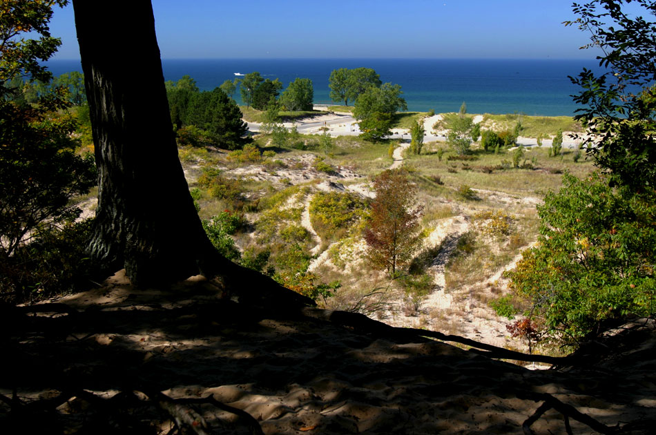 Michigan Dunes 005