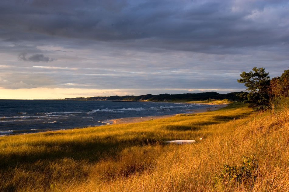 Michigan Dunes 007