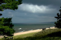 Michigan Dunes 001