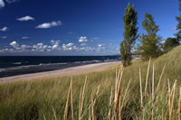 Michigan Dunes 004