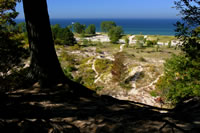 Michigan Dunes 005