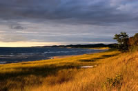 Michigan Dunes 007