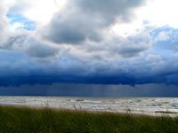 Michigan Dunes 008