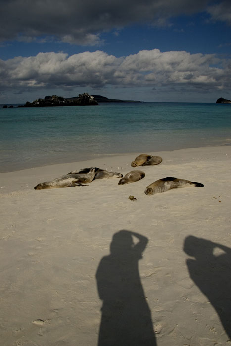 Galapagos 002