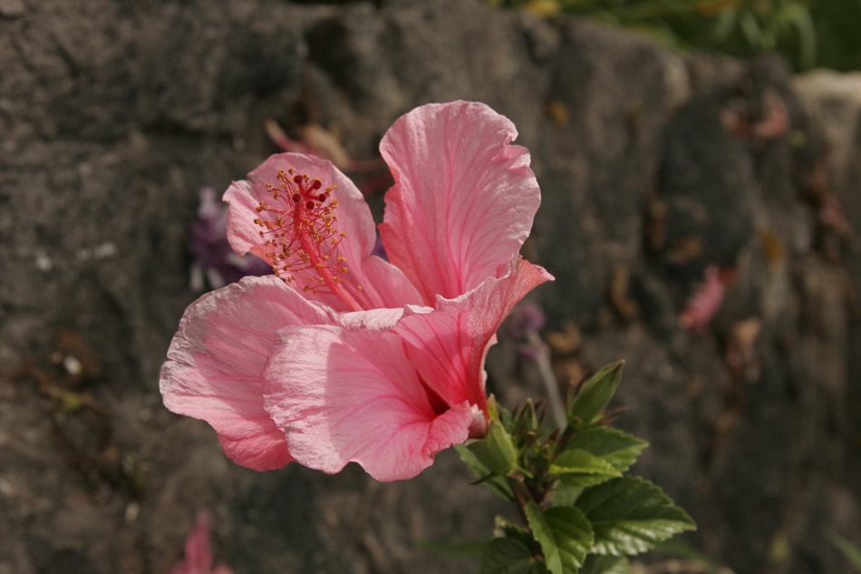 Peru 002
