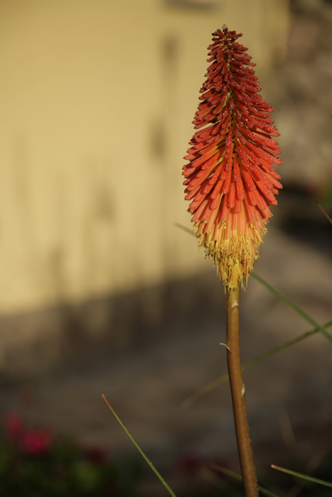 Peru 016